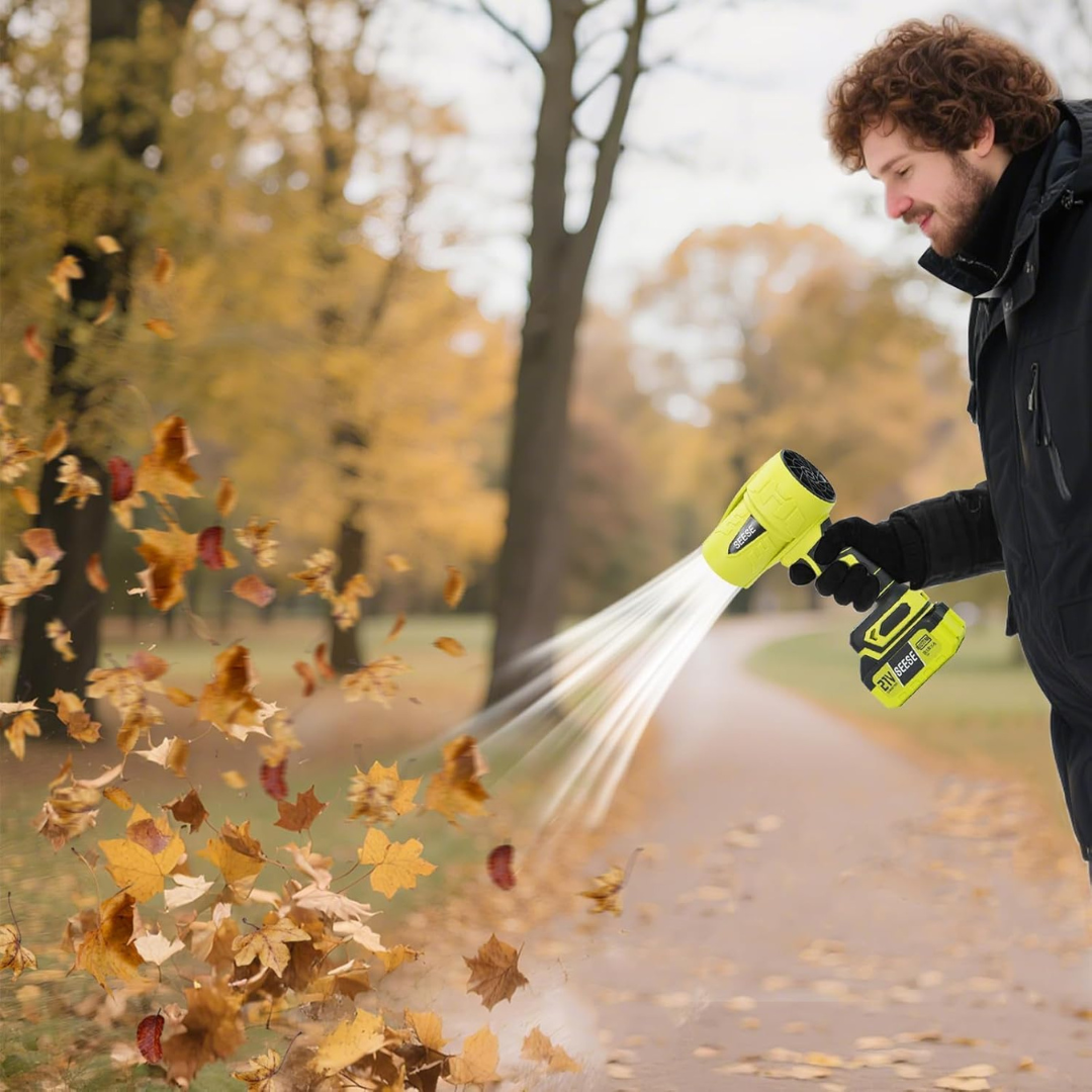Clear leaves, dust, and light debris without dragging a cord.